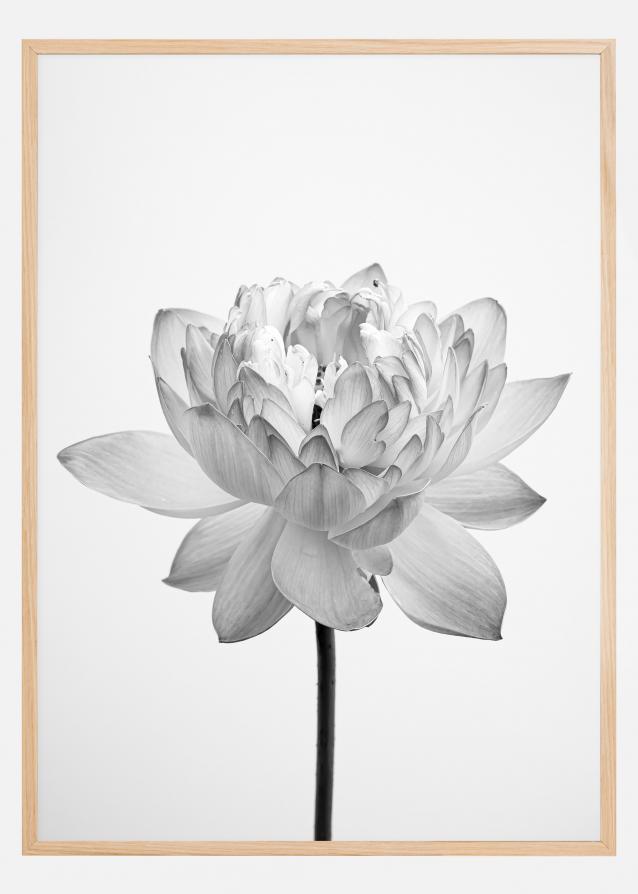 Bildverkstad Grey flower Poster