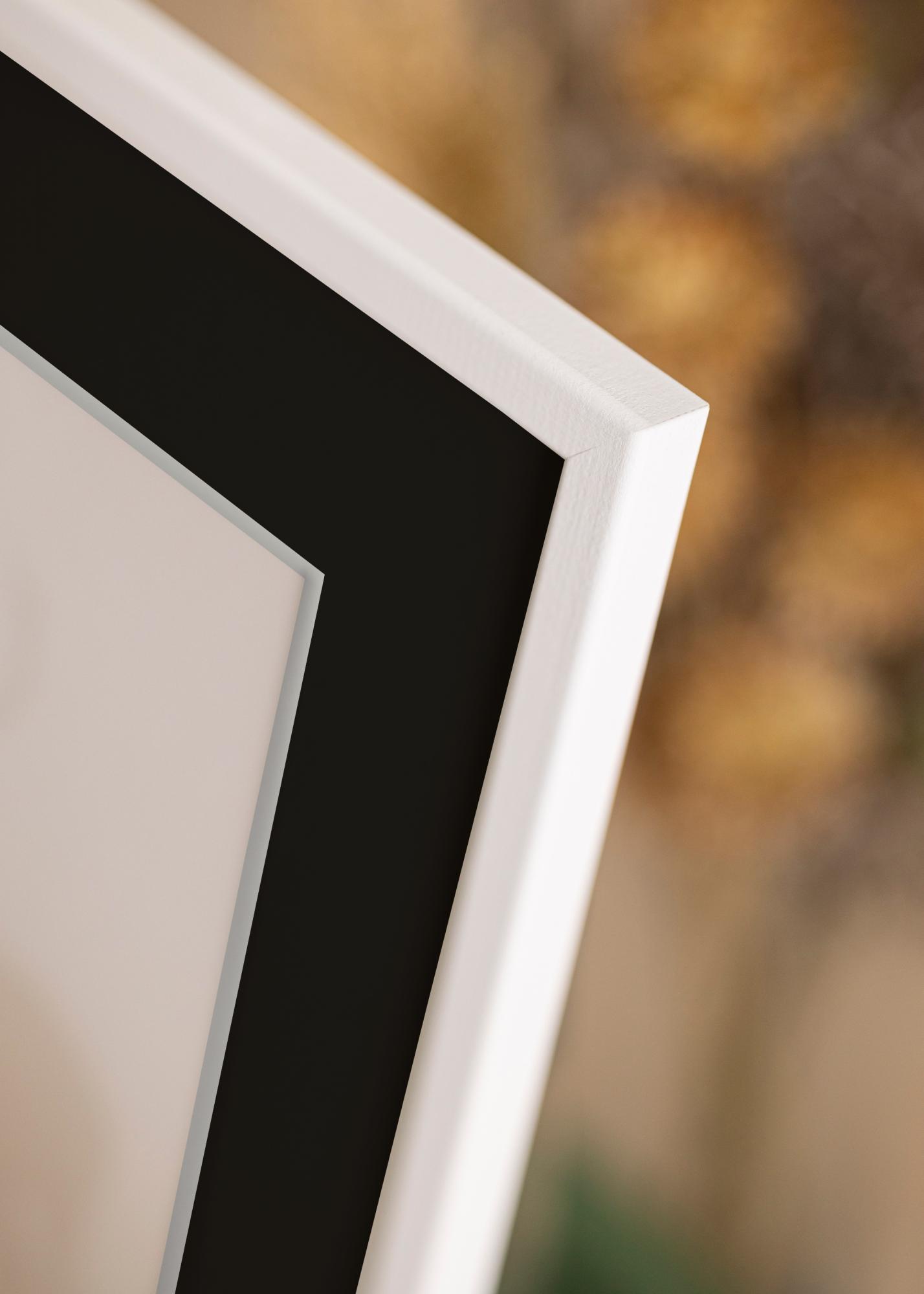 Buy Frame Kaspar White 40x60 cm - Picture Mount Black 25x50 cm here ...