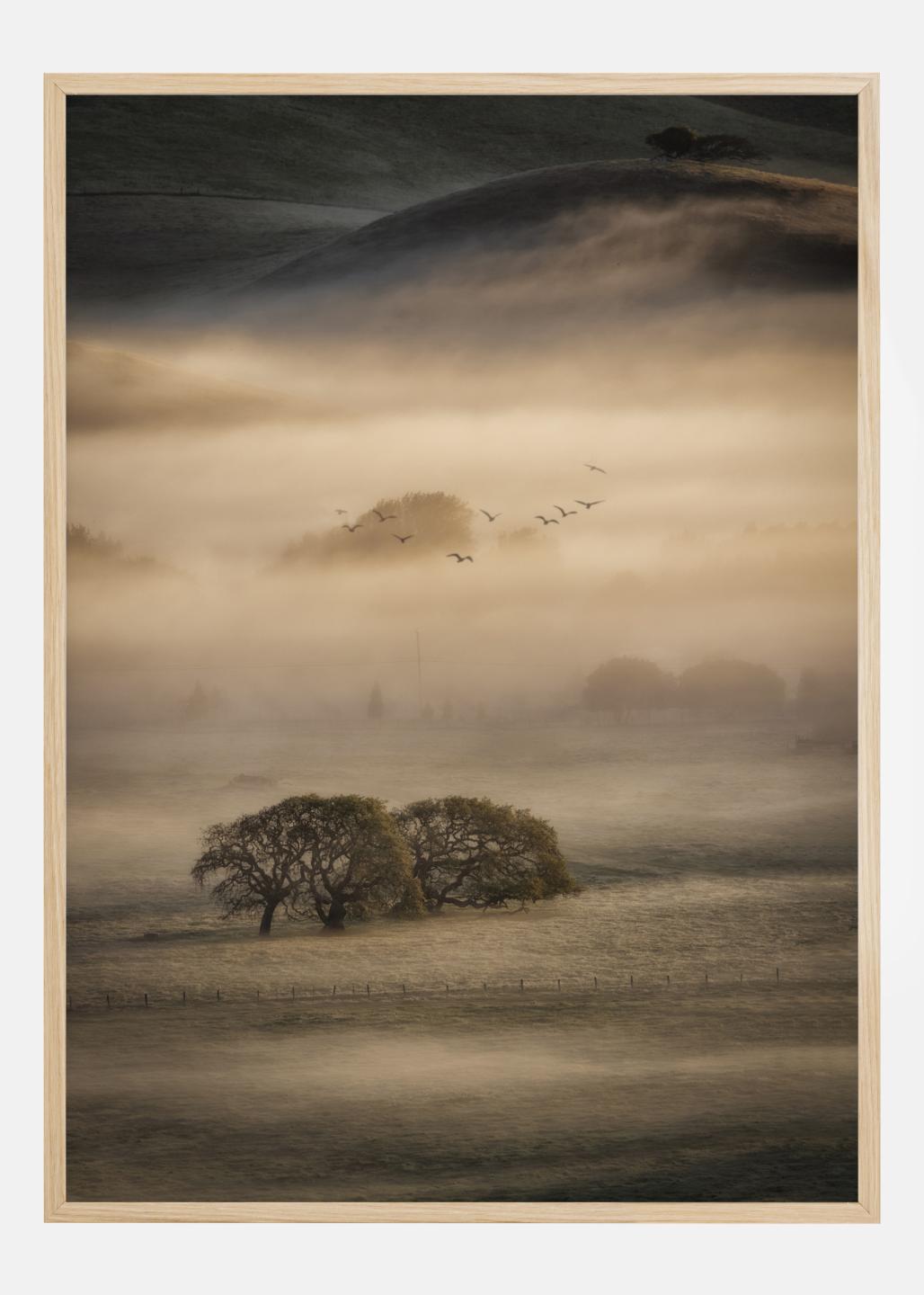 Buy Foggy Forest Black & White I - 50x70 cm Poster here 