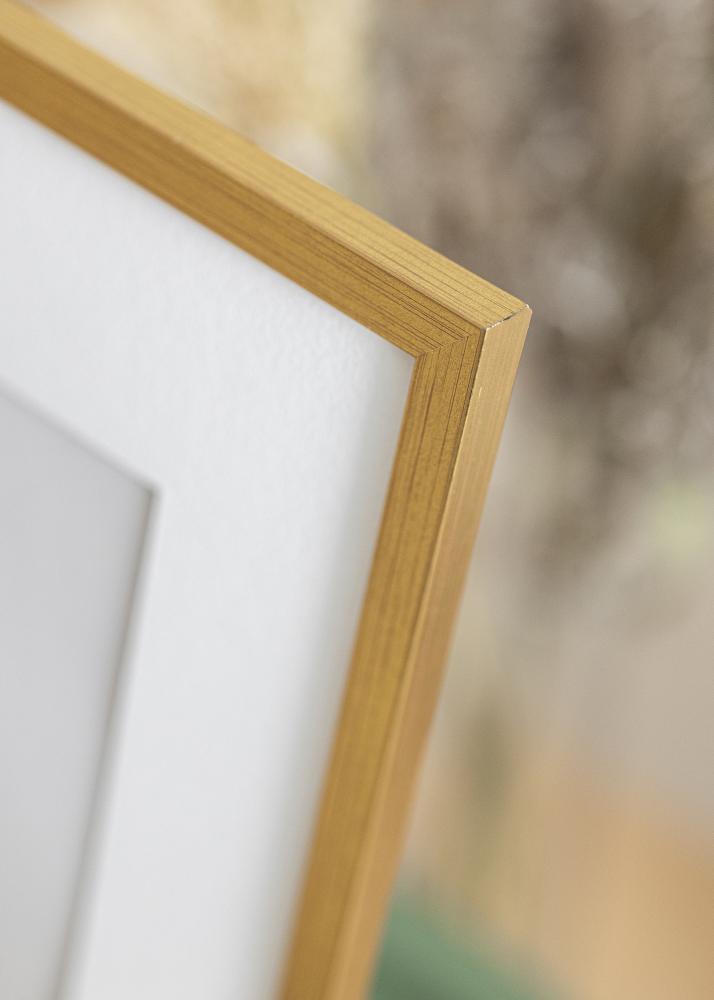 Ram med passepartou Frame Edsbyn Gold 40x45 cm - Mounts White 28x34 cm