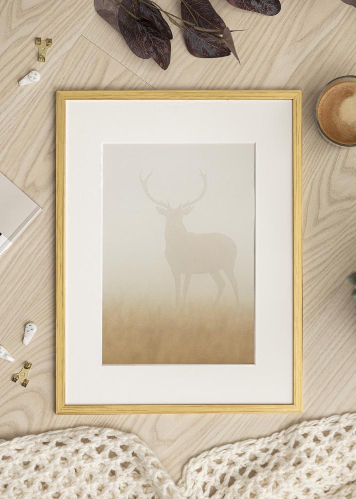 Ram med passepartou Frame Edsbyn Gold 40x45 cm - Mounts White 28x34 cm