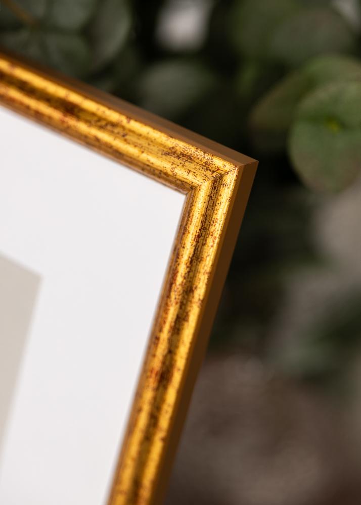 Ramverkstad Frame Claudia Acrylic Glass Gold 29.7x42 cm (A3)