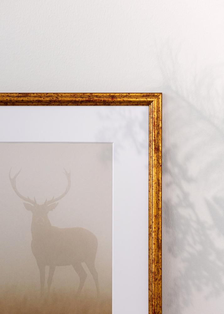 Ramverkstad Frame Claudia Acrylic Glass Gold 29.7x42 cm (A3)