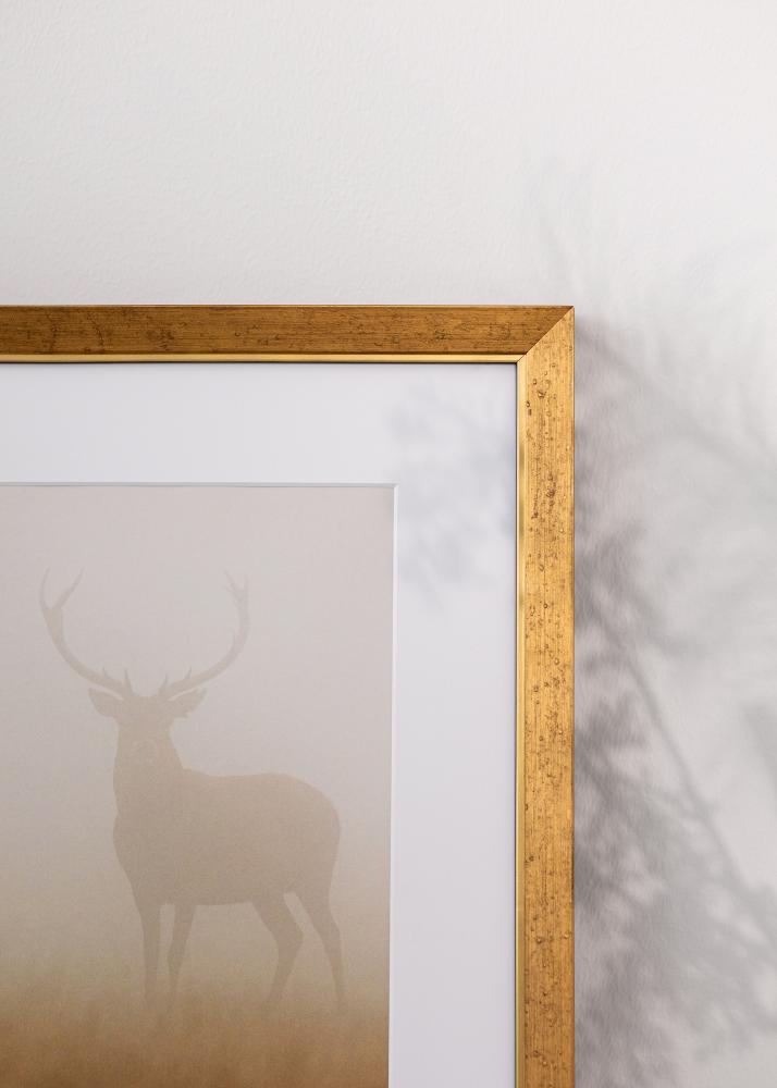 Ramverkstad Frame Brema Acrylic Glass Gold 29.7x42 cm (A3)