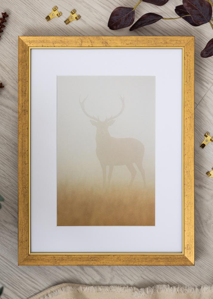 Ramverkstad Frame Brema Acrylic Glass Gold 29.7x42 cm (A3)