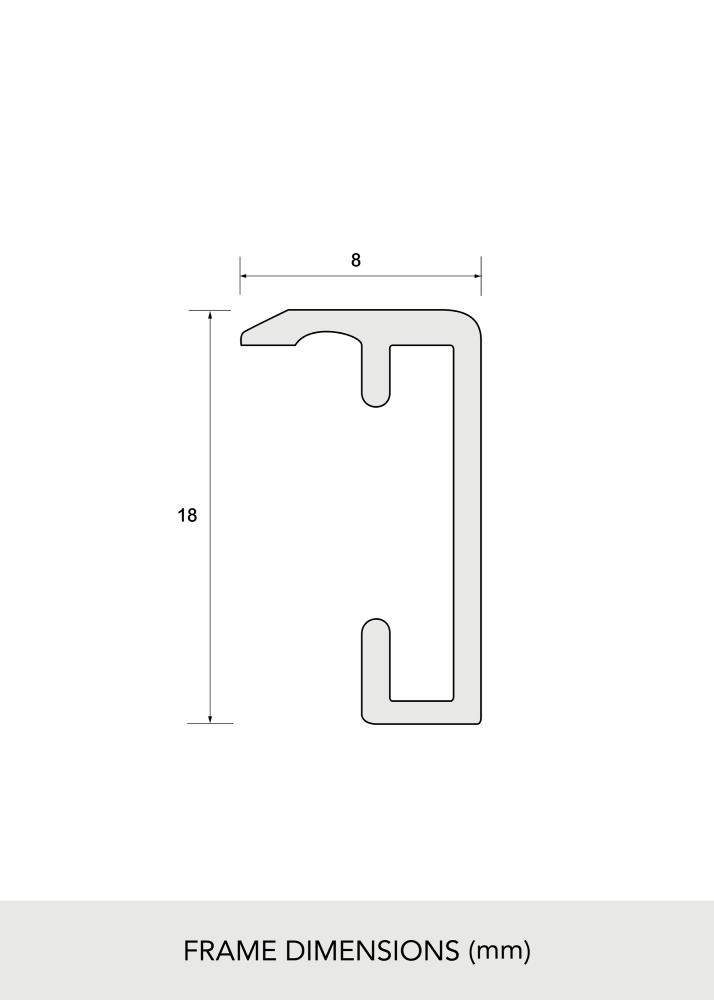 BGA Aluminium Frame Acrylic Glass Black 50x60 cm