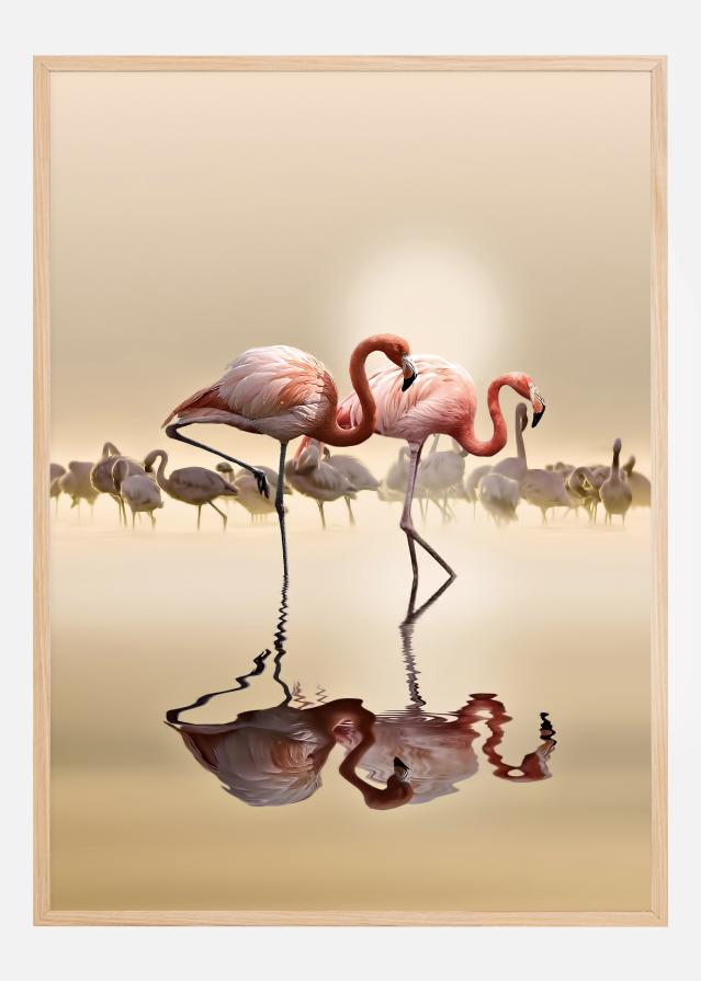 Bildverkstad FLAMINGOS Poster