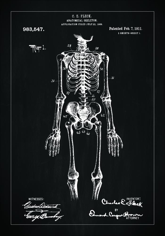 Bildverkstad Patent drawing - Anatomical Skeleton I - Black Poster