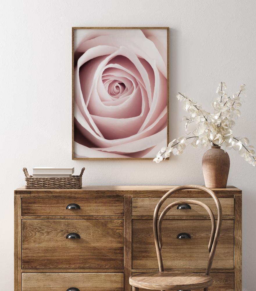 Bildverkstad Pink Rose Poster