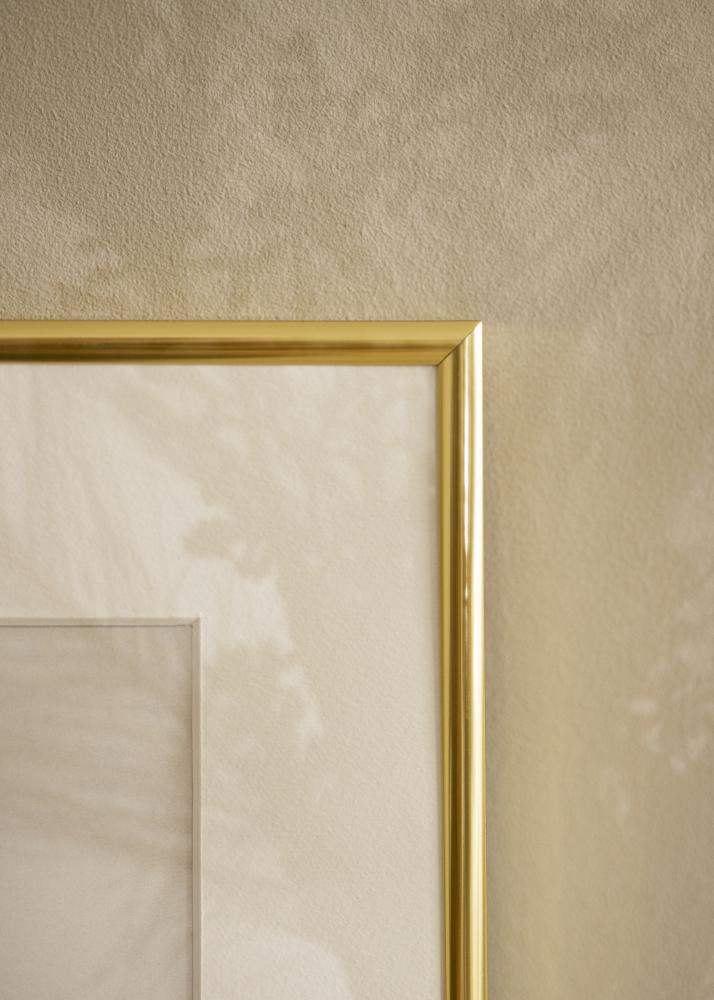 Estancia Frame Victoria Acrylic glass Gold 50x70 cm