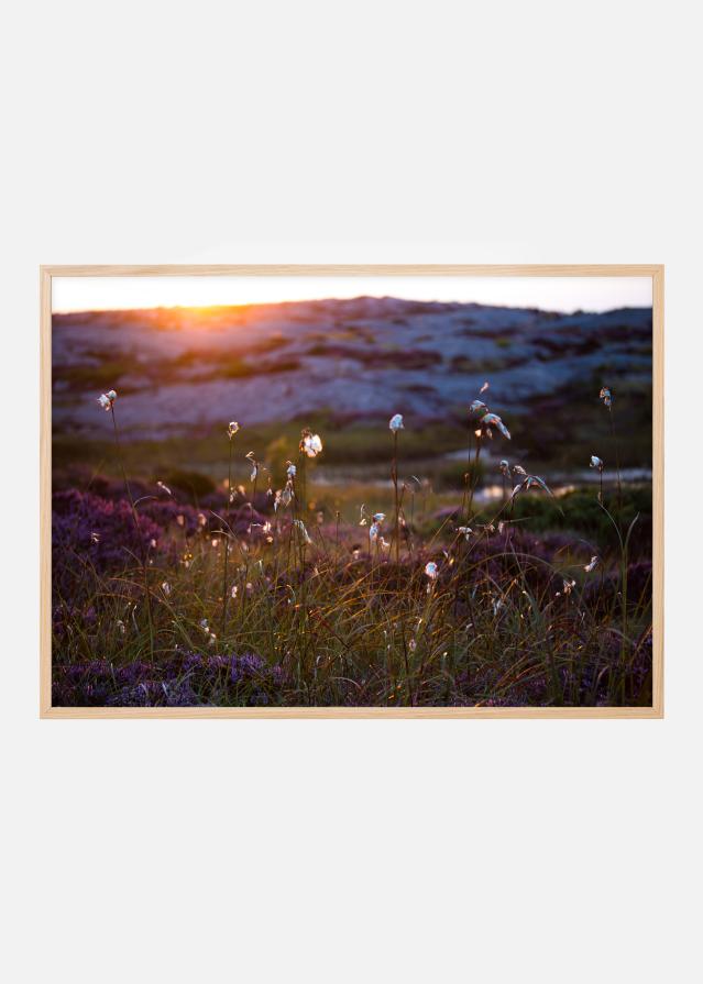 Bildverkstad Summer evening on the rocks Poster