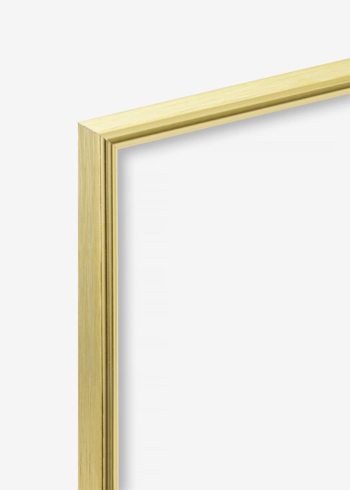 Focus Frame Can-Can Gold 10x15 cm