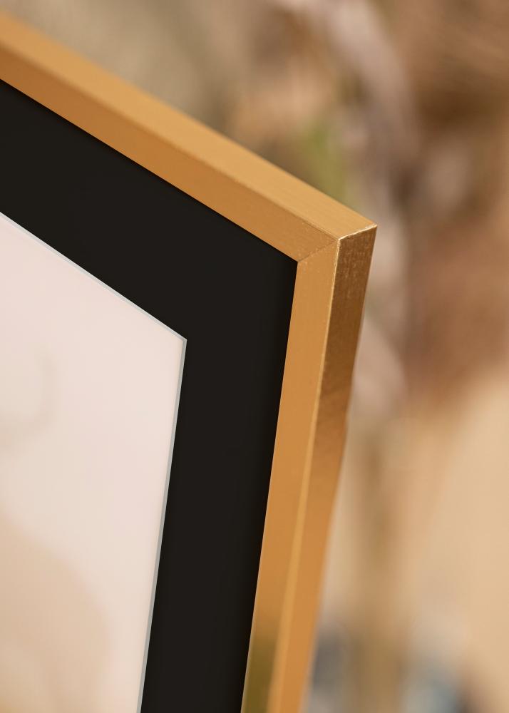 Ram med passepartou Frame Trendy Gold 40x50 cm - Picture Mount Black 27.5x37 cm