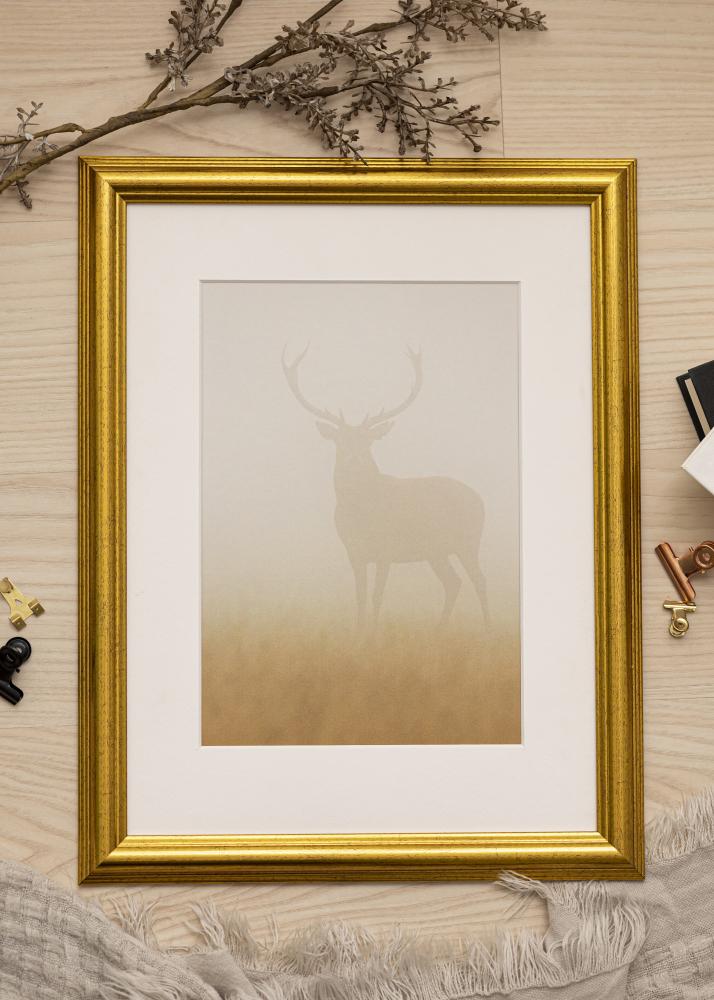 Ram med passepartou Frame Västkusten Gold 28x35 cm - Picture Mount White 20x25 cm