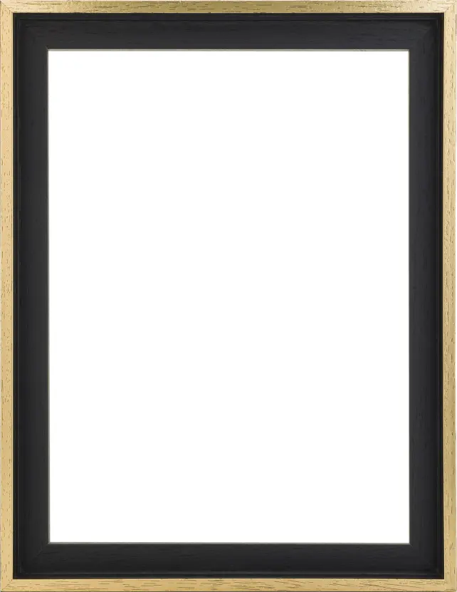 Mavanti Canvas picture frame Madison Black / Gold 40x60 cm