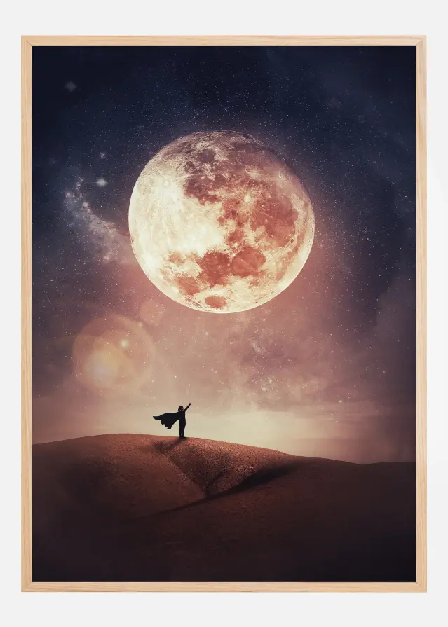 Bildverkstad Look at the moon Poster