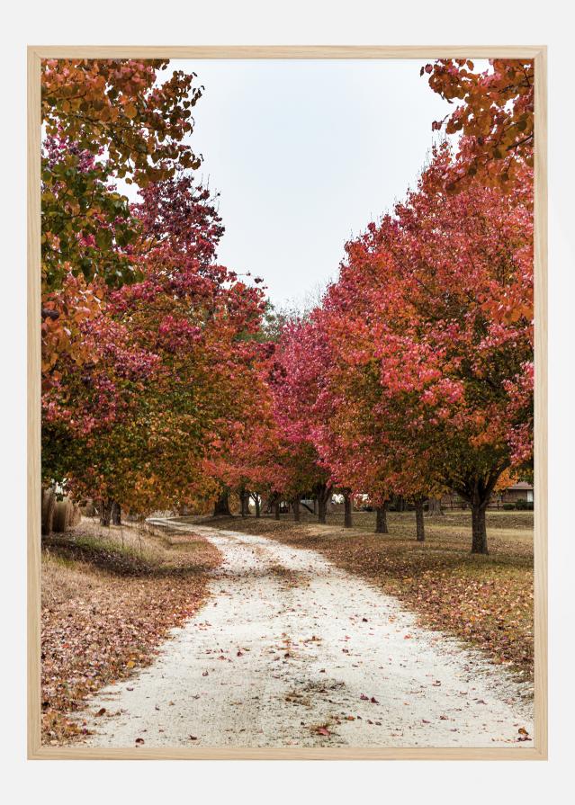 Bildverkstad Autum Road Poster