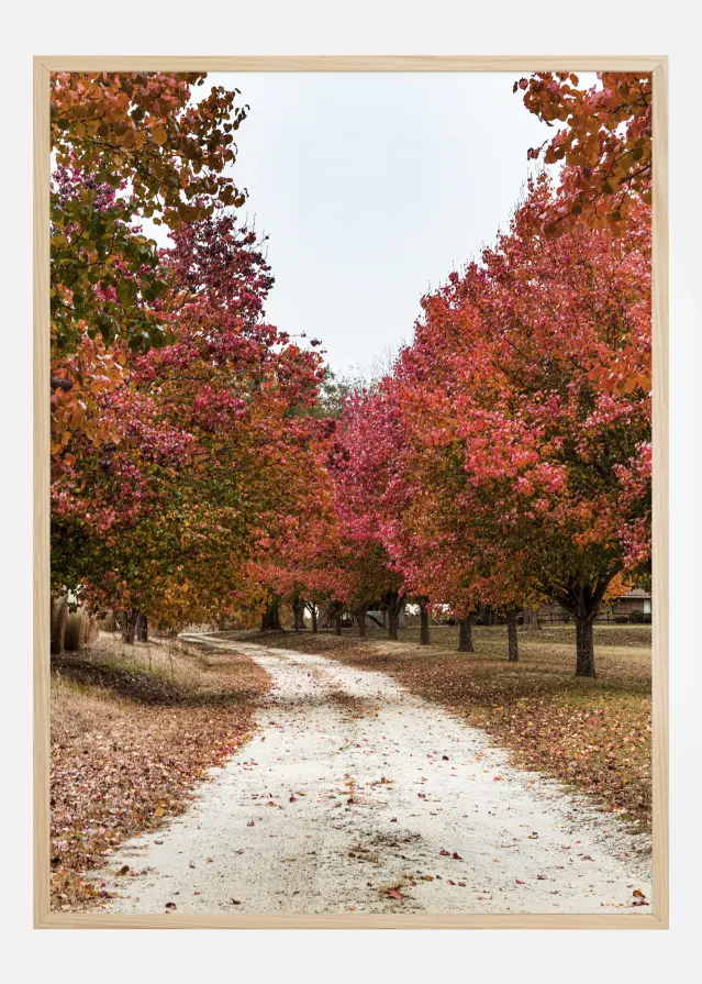 Bildverkstad Autum Road Poster