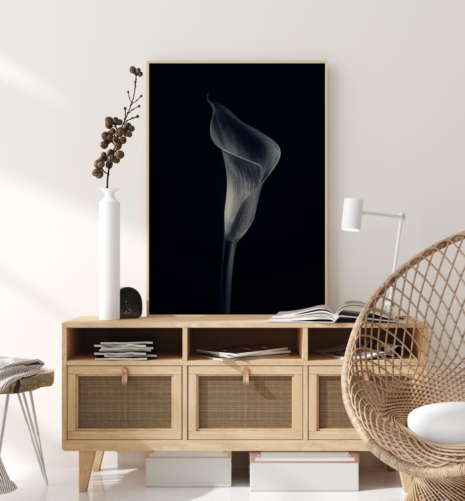 Bildverkstad Calla Lily Poster