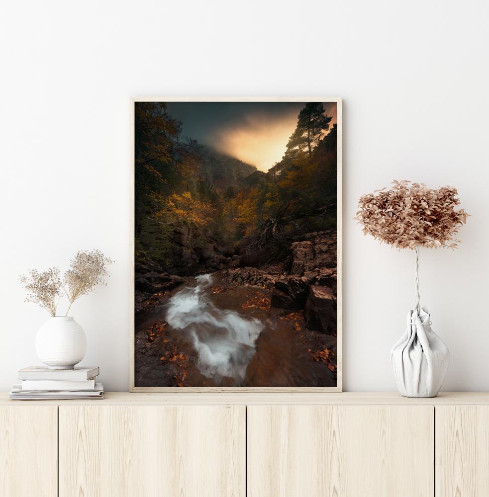 Bildverkstad Calm Forest Poster