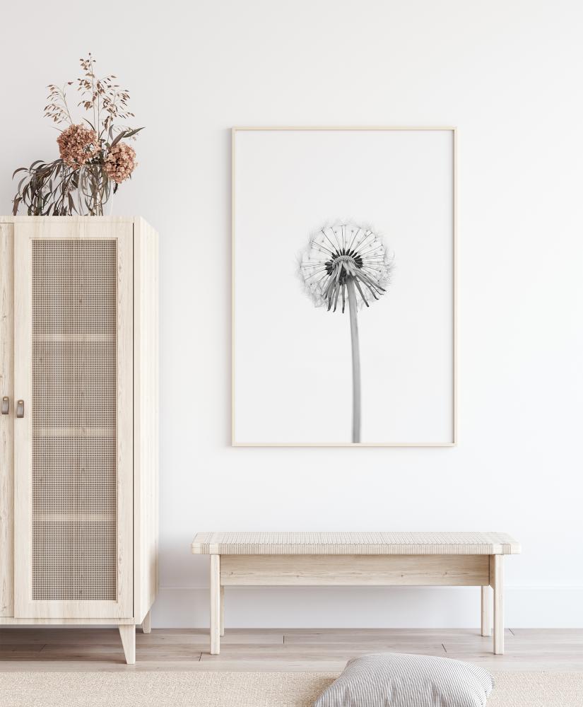 Bildverkstad Dandelion Poster