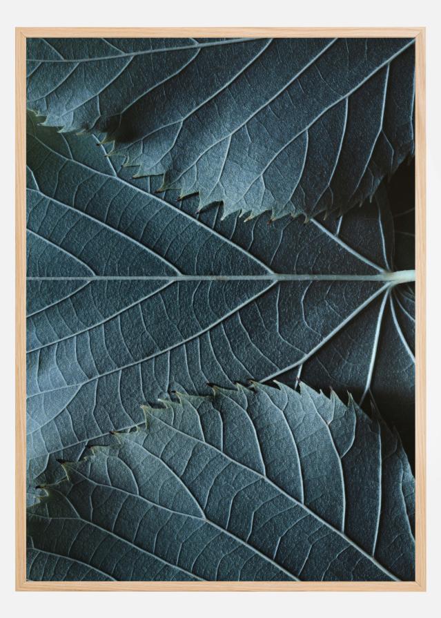 Bildverkstad Blue Leaves Poster