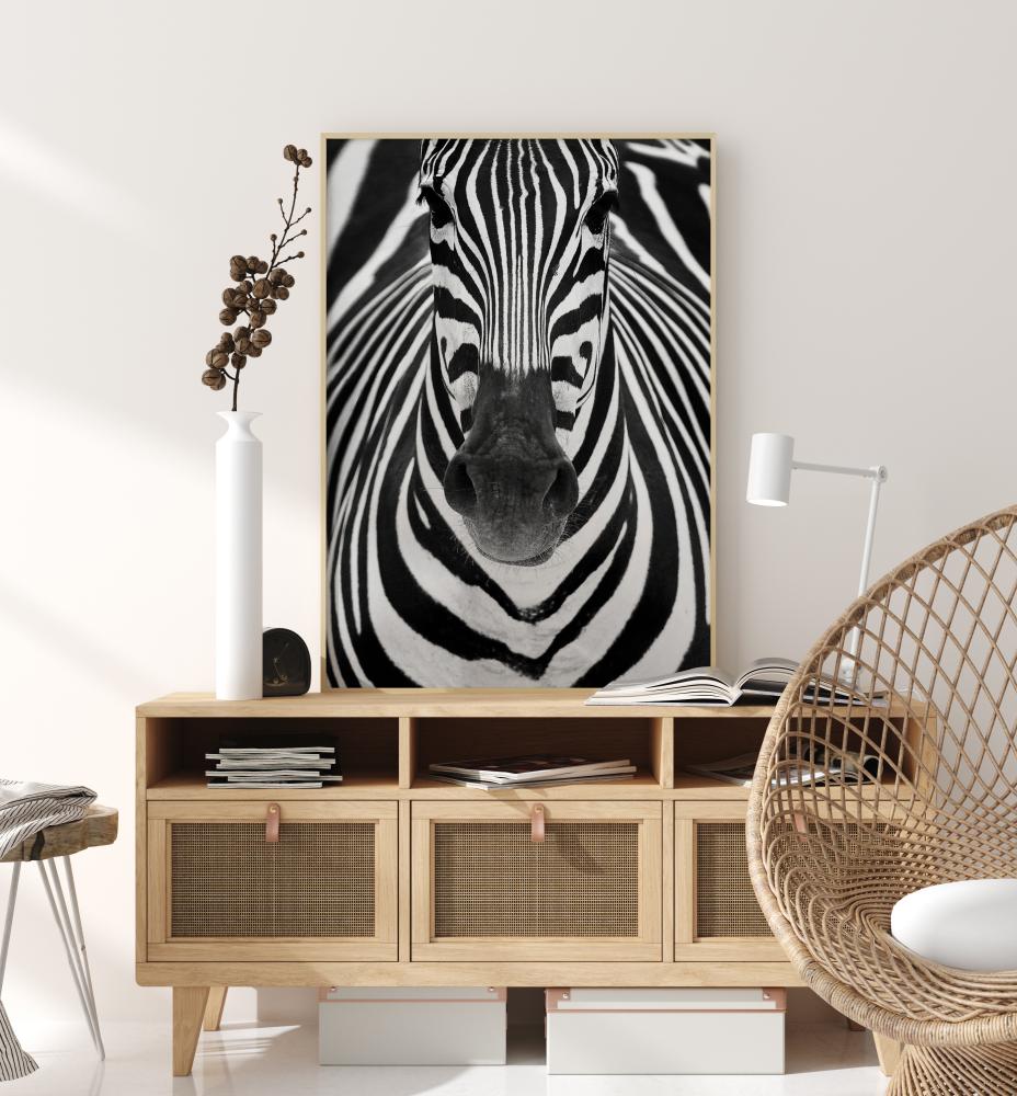 Bildverkstad Zebra Poster