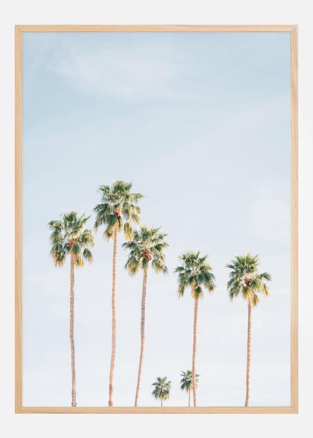 Bildverkstad Palm Trees Poster