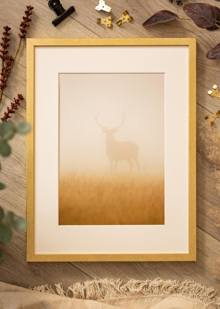 Mavanti Frame Ares Acrylic Glass Gold 45x60 cm