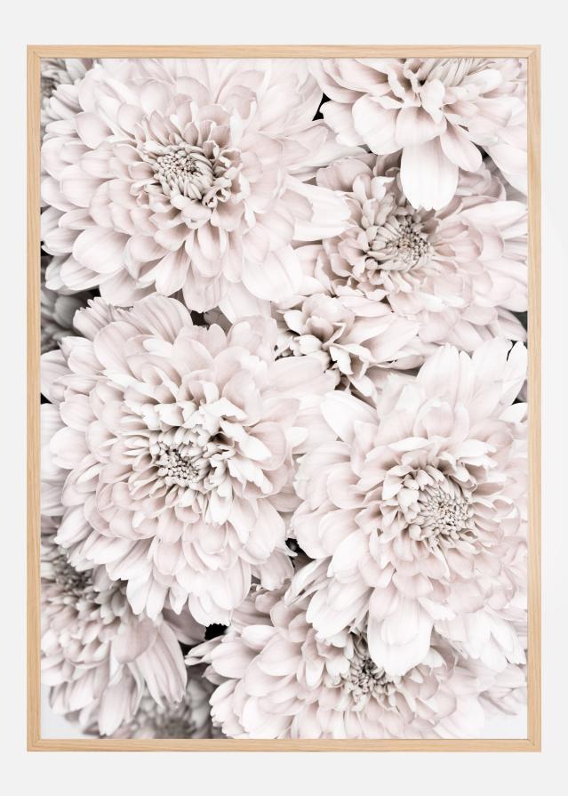 Bildverkstad Chrysanthemum II Poster