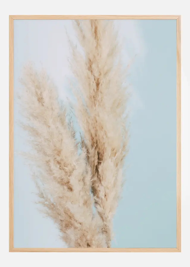 Bildverkstad Pampas Grass Blue Poster