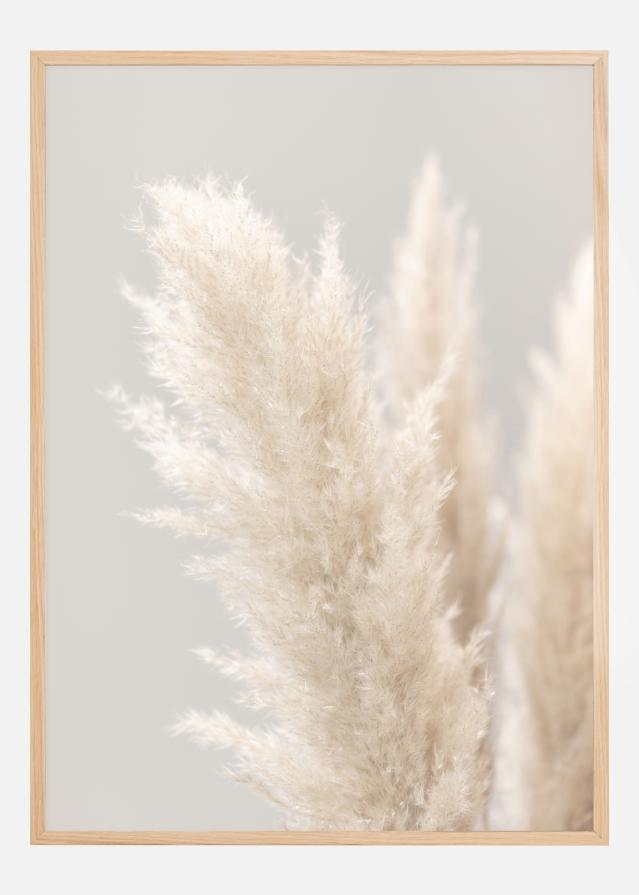 Bildverkstad Pampas Grass IIII Poster