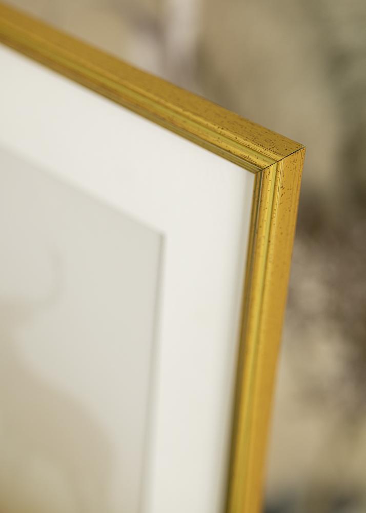 Estancia Frame Classic Gold 21x29,7 cm (A4)