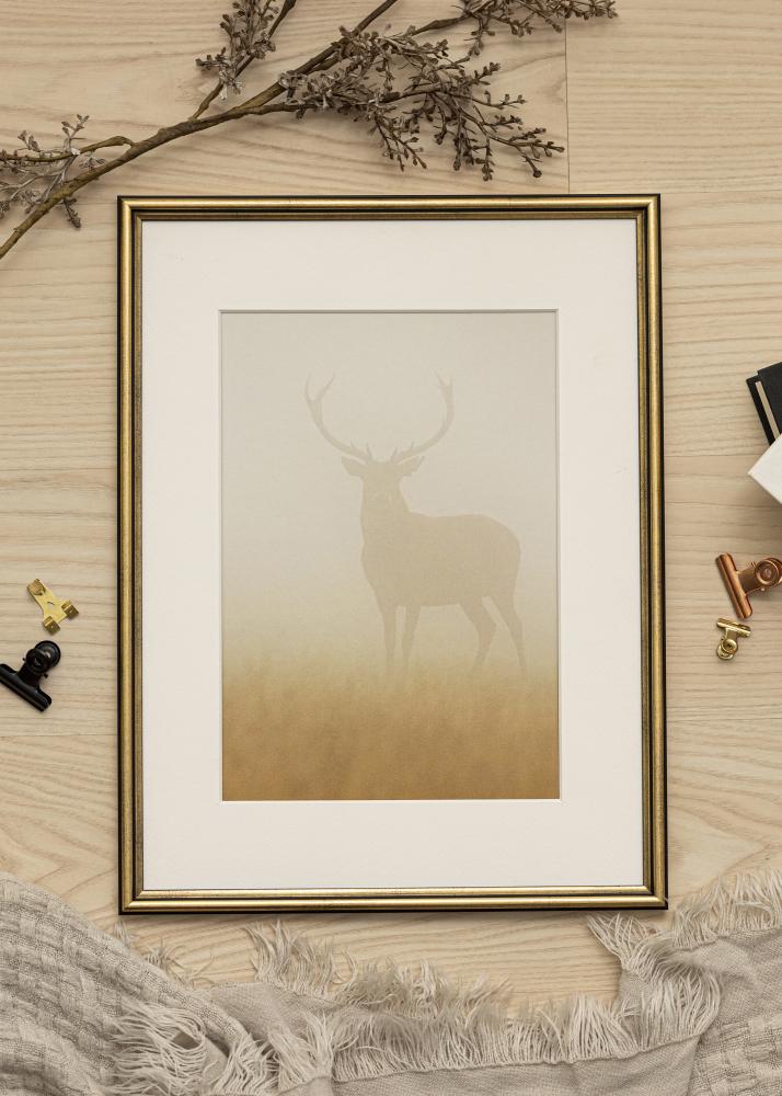 Ram med passepartou Frame Horndal Gold 20x30 cm - Picture Mount White 15x22 cm