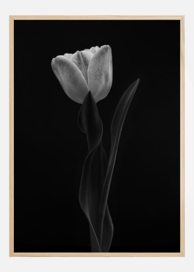 Bildverkstad Tulip Poster