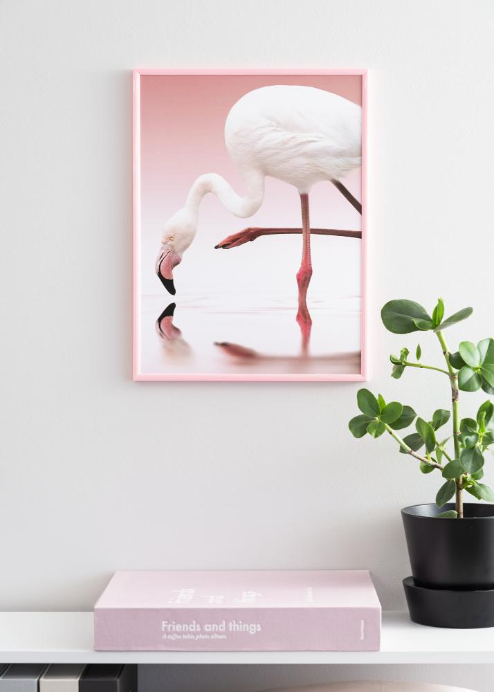 Ram med passepartou Frame New Lifestyle Pink 60x80 cm - Picture Mount White 50x70 cm