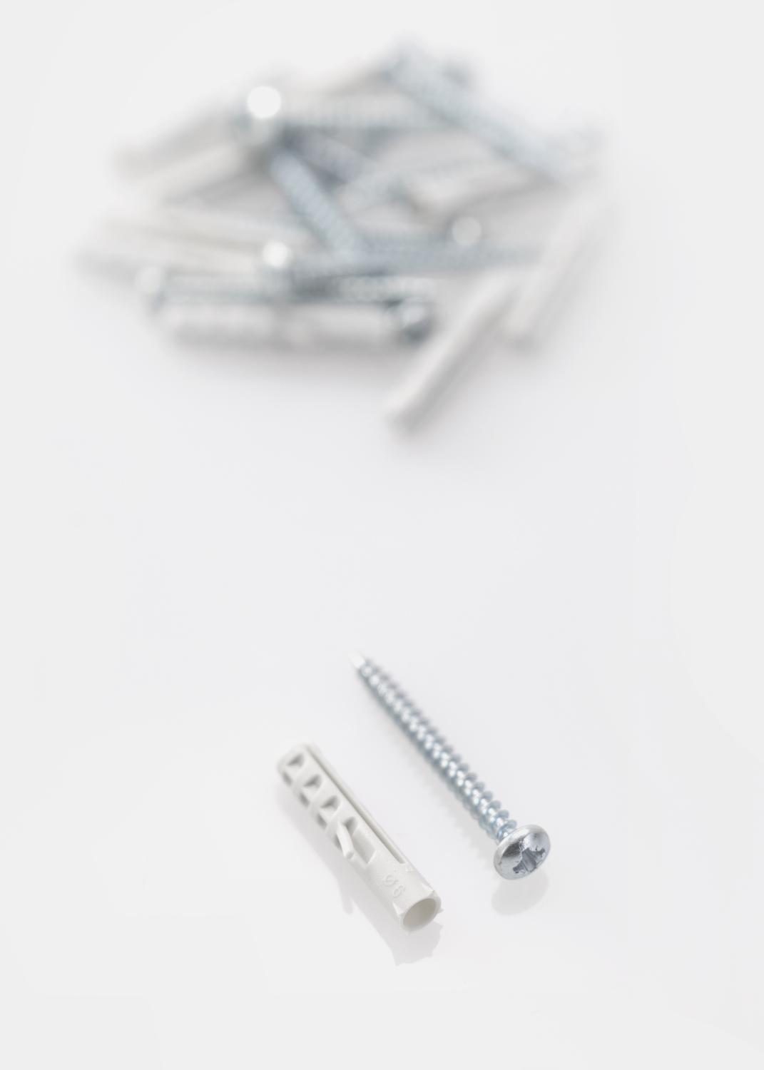 Product Image for Plug 30 x 6 mm with screw 10 pack