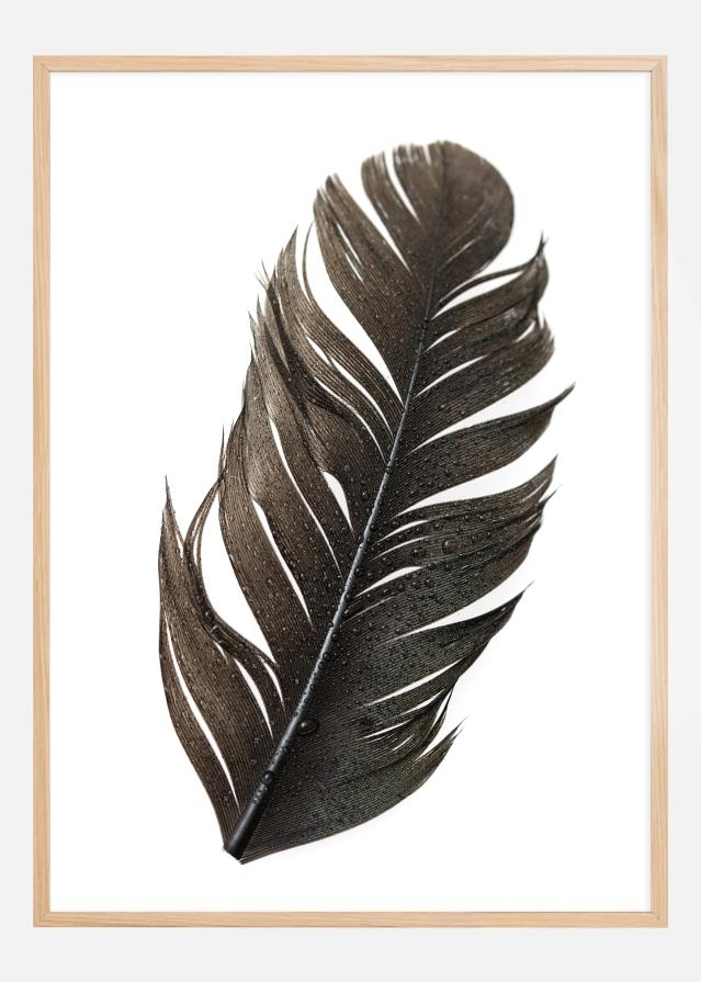 Bildverkstad Feather Poster