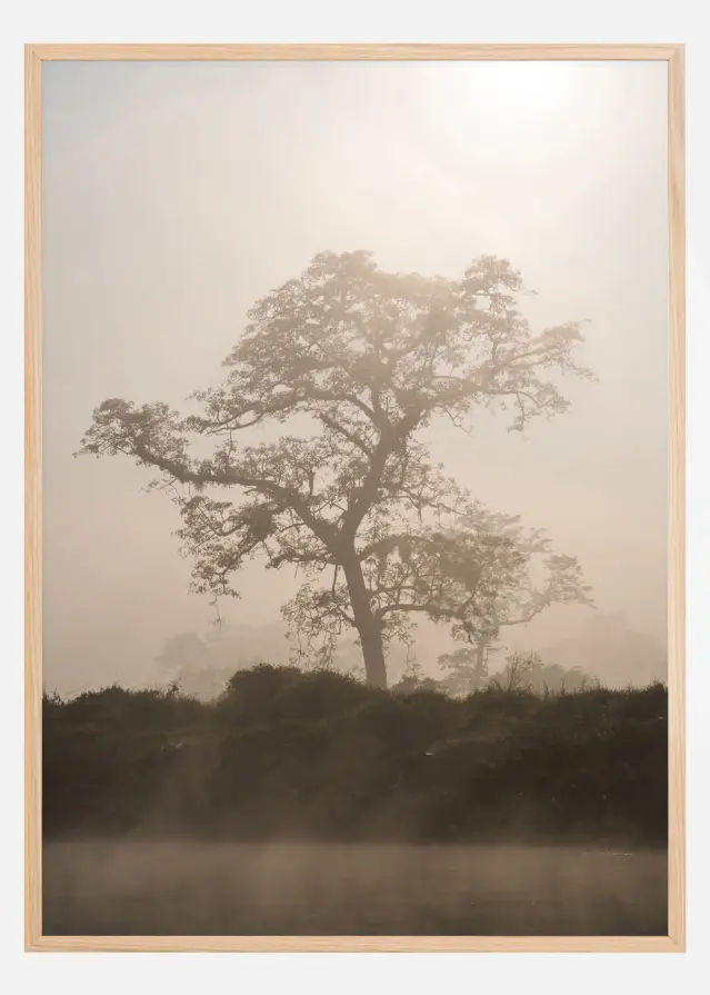 Bildverkstad Misty Tree Poster