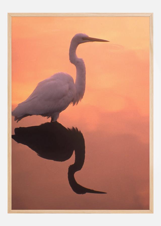 Bildverkstad Bird In Orange Water Poster