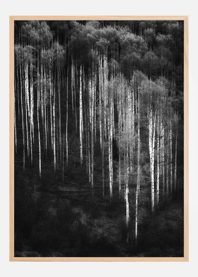 Bildverkstad Forest Art Poster