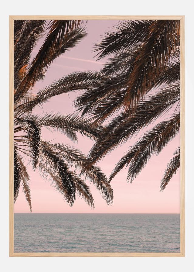 Bildverkstad Palm Beach III Poster