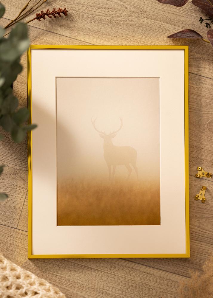 BGA Aluminium Frame Acrylic Glass Gold 21x29.7 cm (A4)