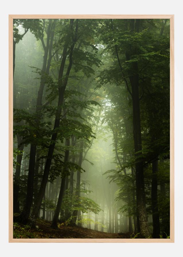 Bildverkstad Foggy Forrest Poster