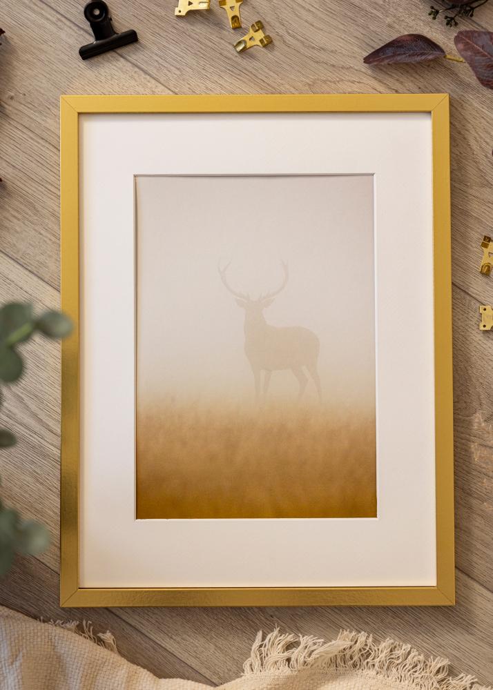 Mavanti Frame Minerva Acrylic Glass Gold 50x50 cm