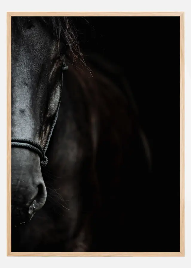 Bildverkstad Dark Horse Poster