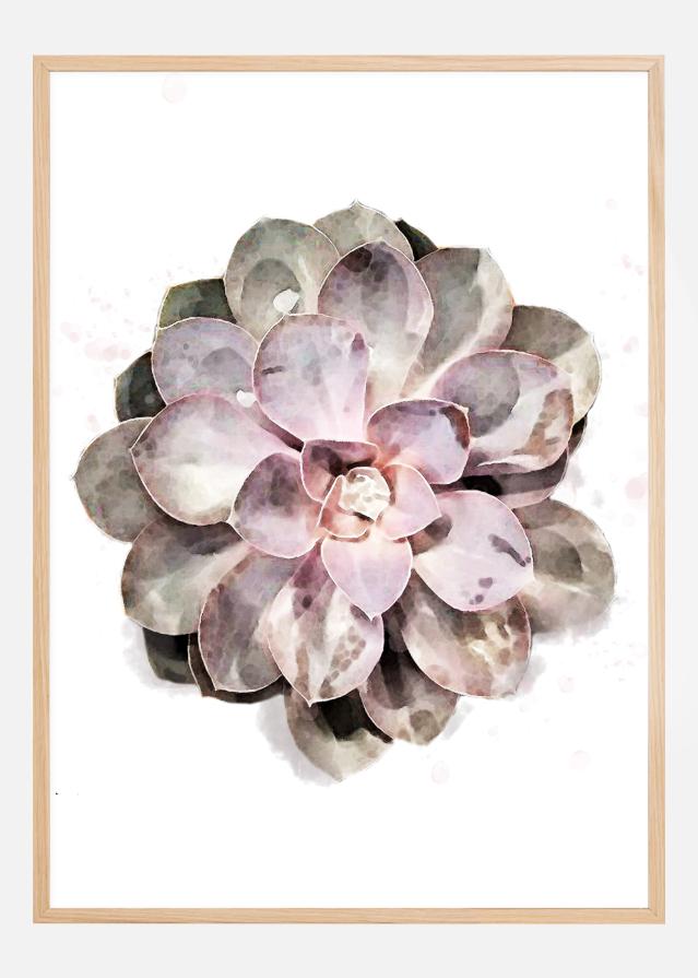 Bildverkstad Succulent Poster