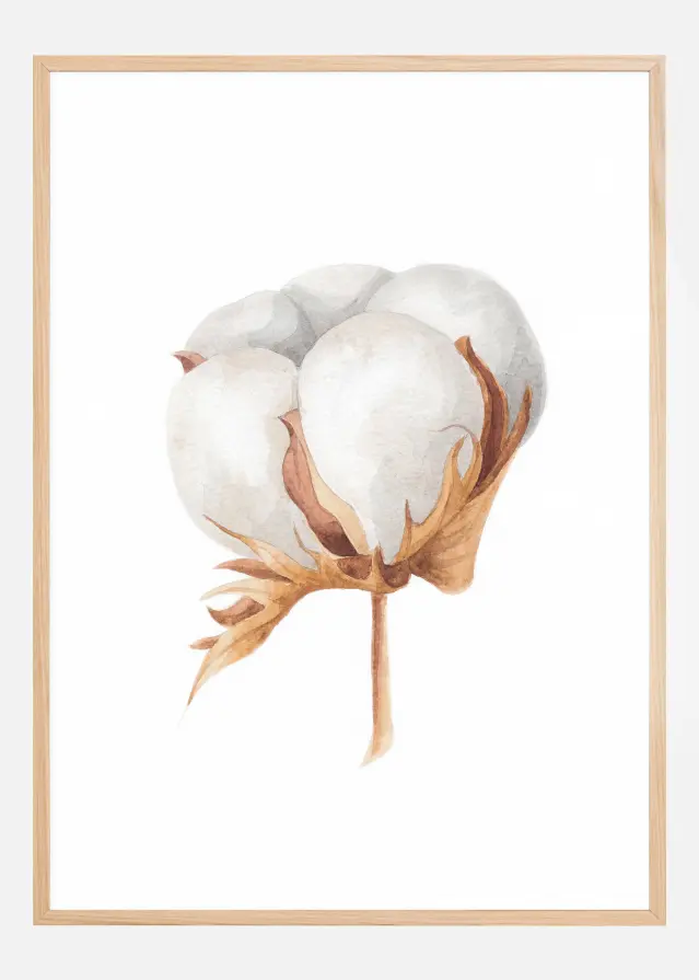 Bildverkstad Cotton Flower Poster