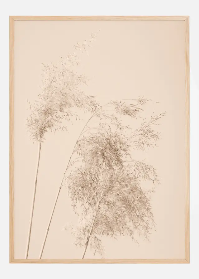 Bildverkstad Reed Grass Poster