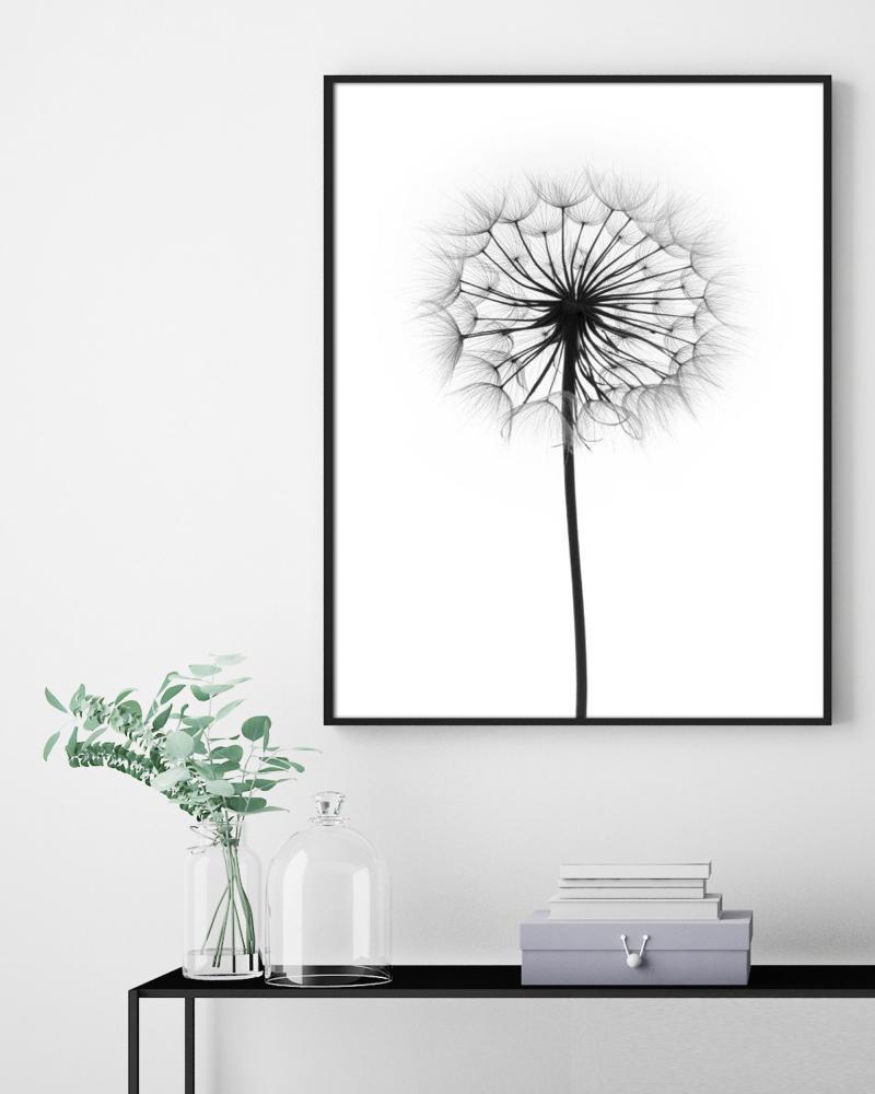 Bildverkstad Dandelion Poster